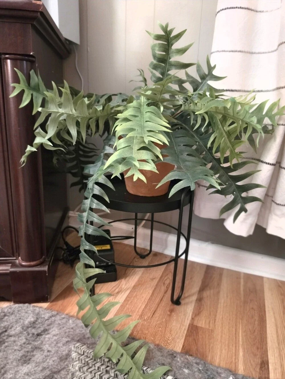 Pottery Barn Faux Potted Trailing Sword Fern